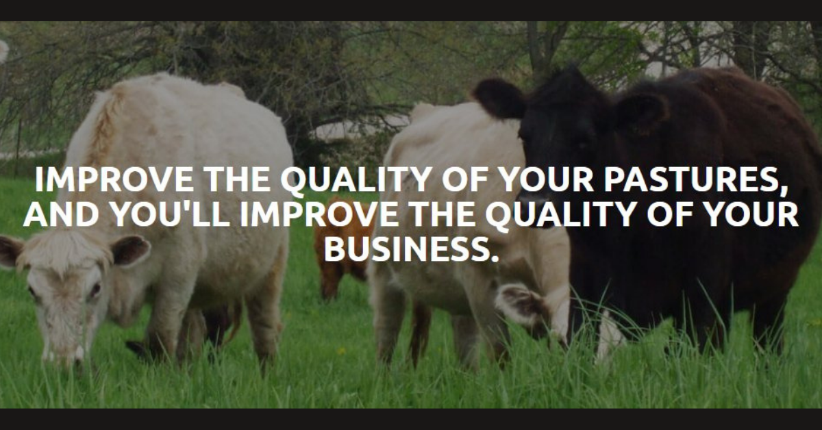 High Sugar Grasses for Livestock SucraSeed